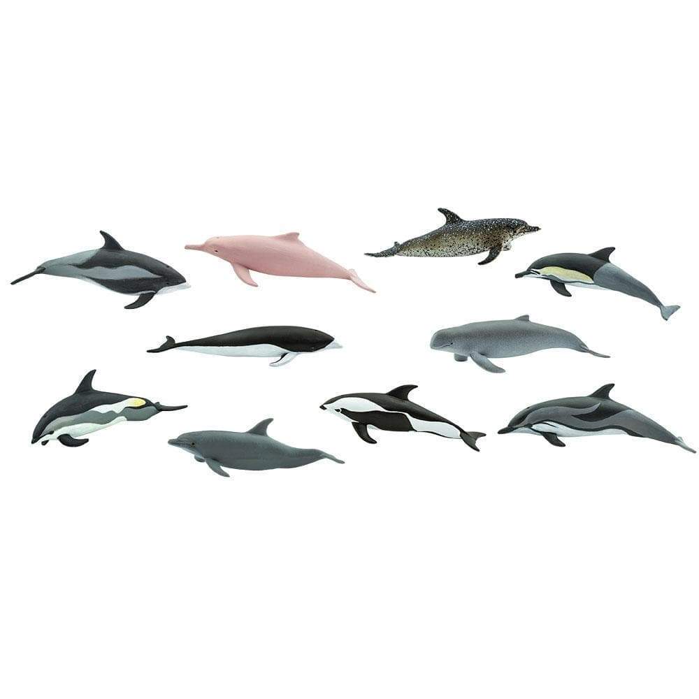 Dolphins TOOB®