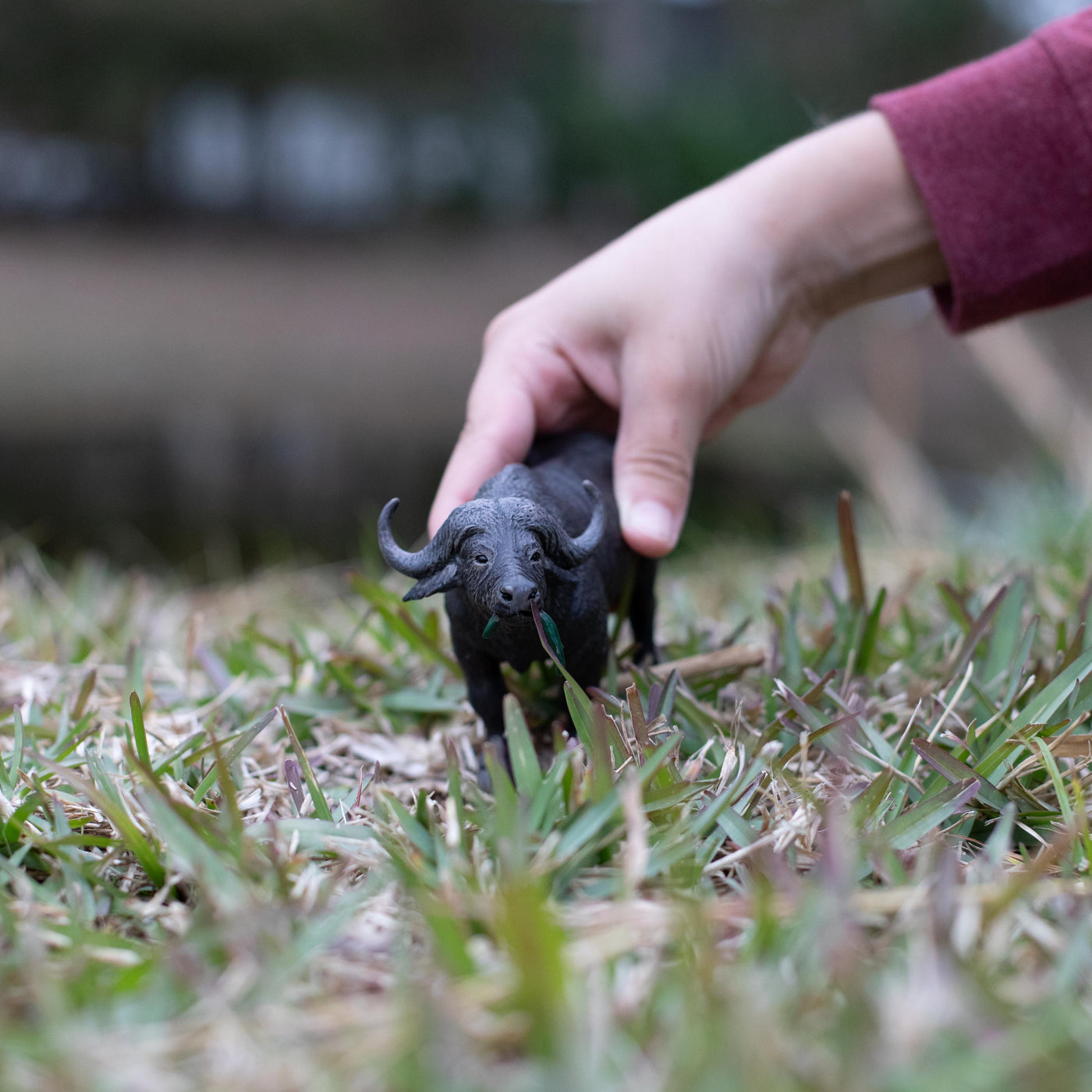 Cape Buffalo Toy | Wildlife Animal Toys | Safari Ltd®