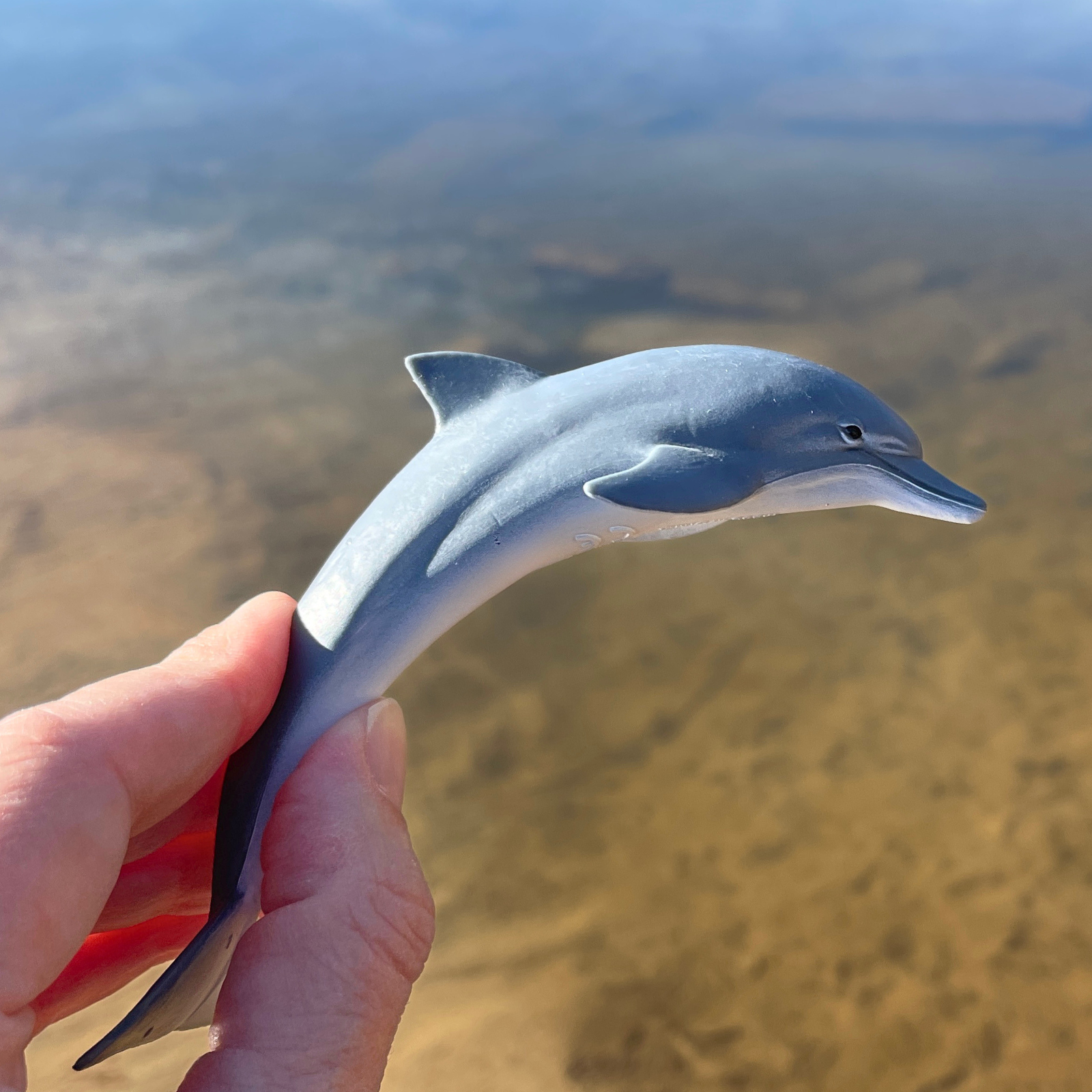 Dolphin Toy