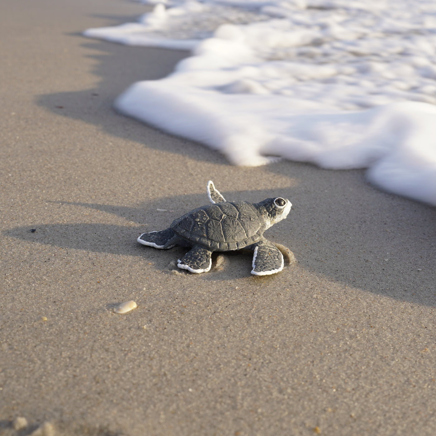 Sea Turtle Baby Toy | Incredible Creatures | Safari Ltd®