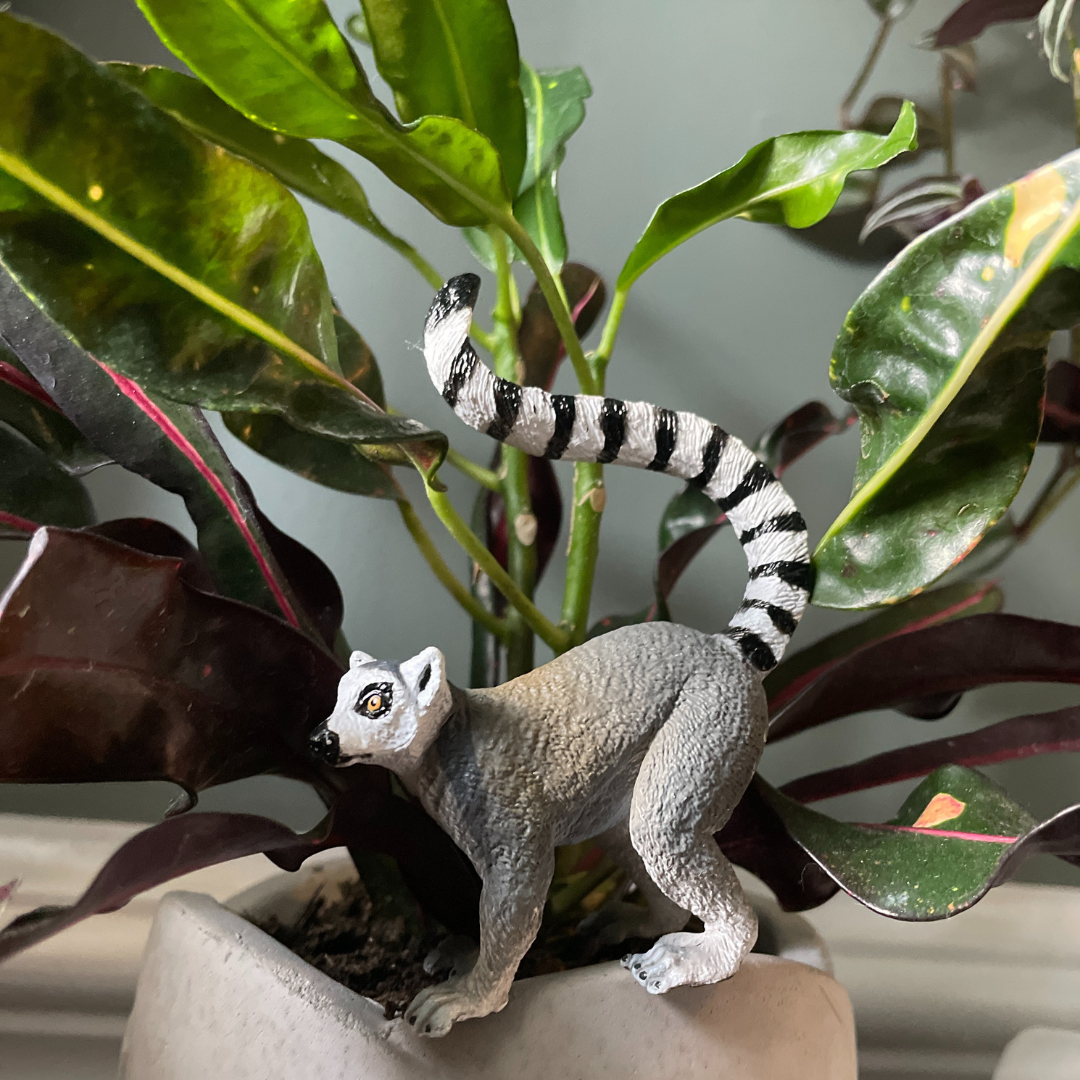 Ring-tailed Lemur Toy