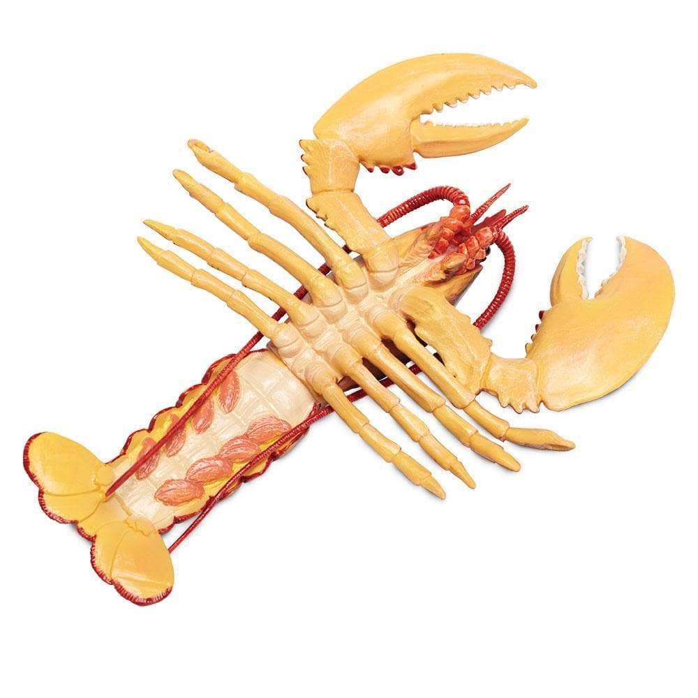 Maine Lobster Toy