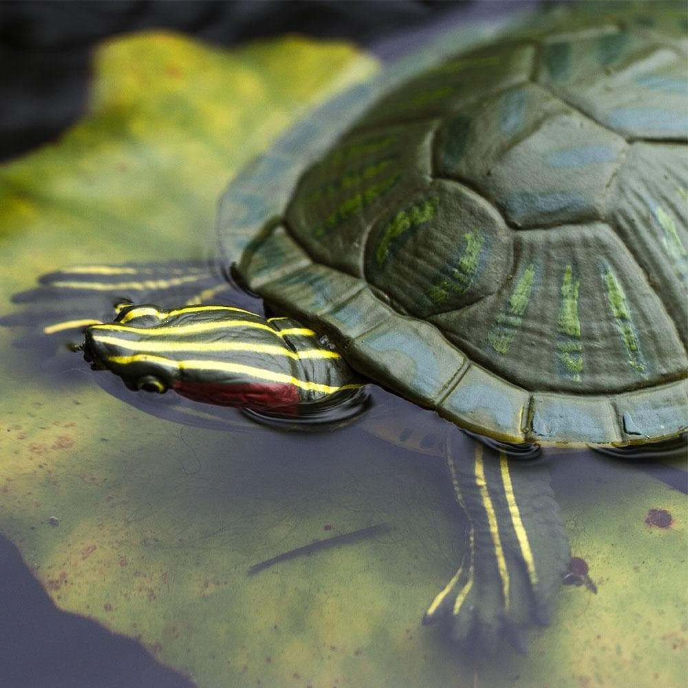 Red-Eared Slider Turtle Toy | Incredible Creatures | Safari Ltd®