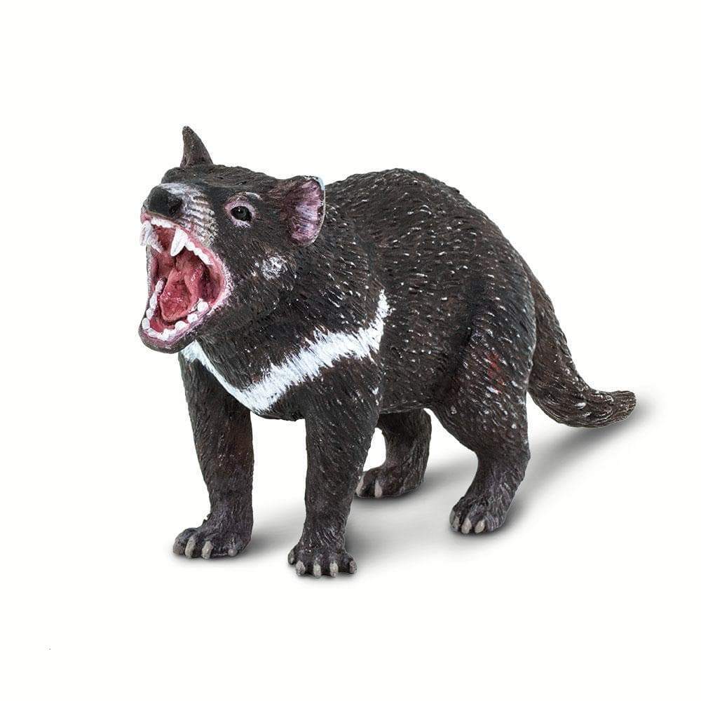 Tasmanian Devil Toy