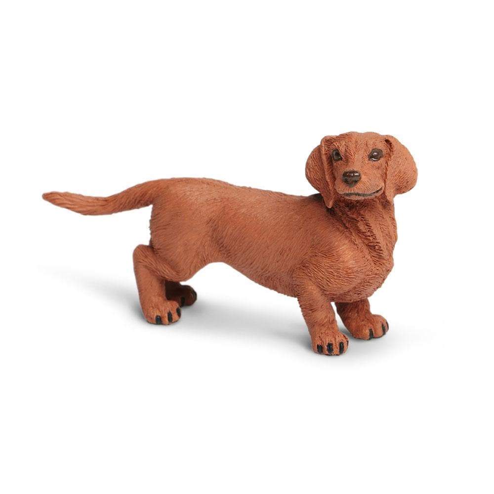 Dachshund Dog Toy Safari Ltd Safari Ltd