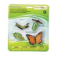 Life Cycle of a Monarch Butterfly - Safari Ltd®