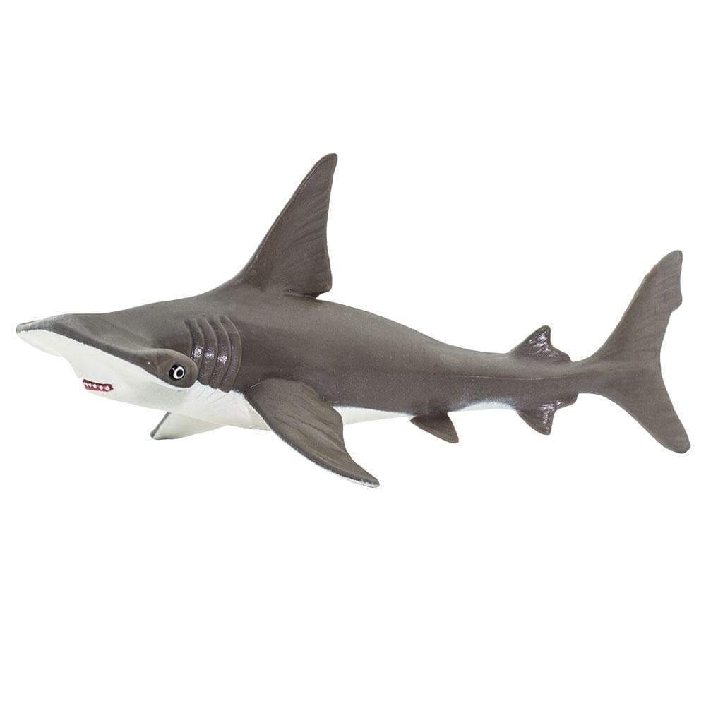 Hammerhead Shark Baby Toy