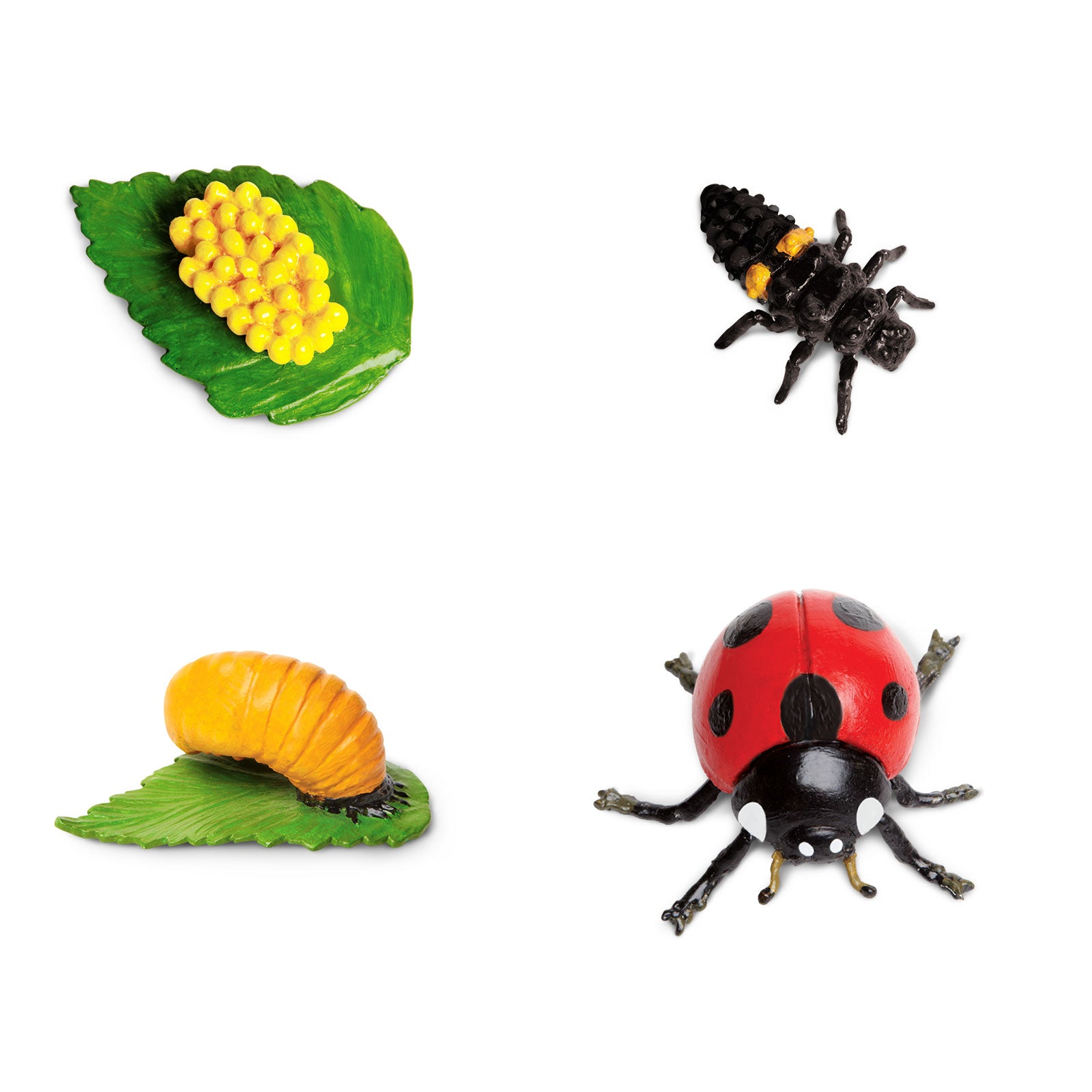 2 in 1 set Bug's Life sensory bin and felt board kit. Daycare ECE literacy circle time bug ant spider ladybug butterfly habitat insect store