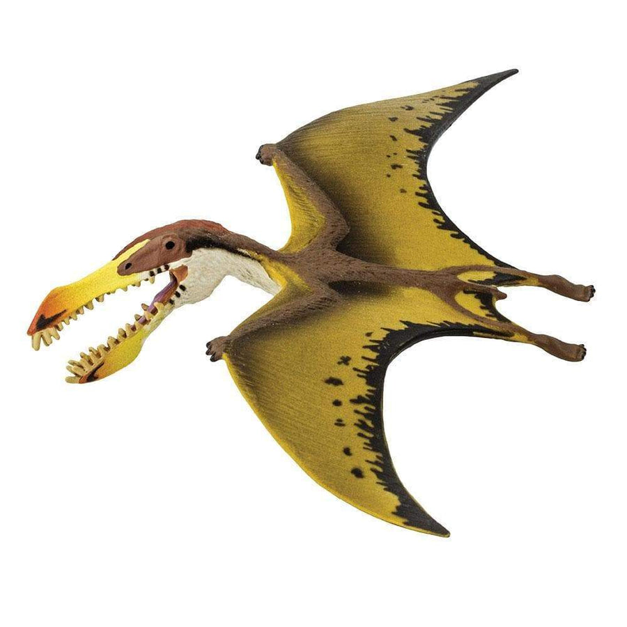 Pterosaur Toy | Dinosaur Toys | Safari Ltd.