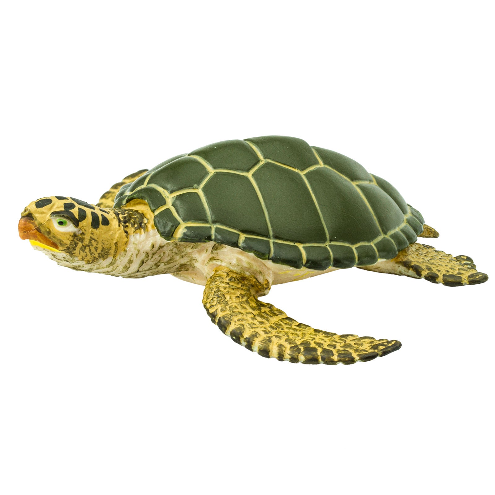 Green Sea Turtle Toy