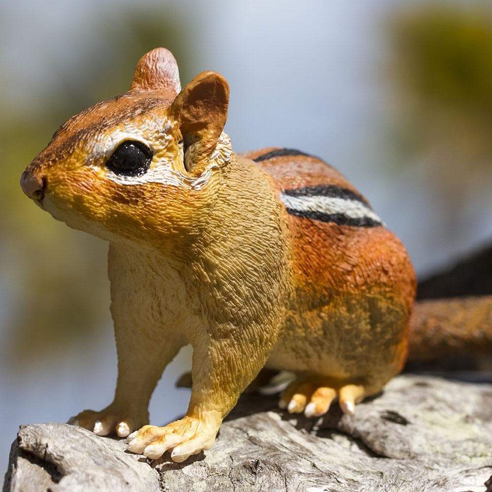 Eastern Chipmunk Toy | Incredible Creatures | Safari Ltd®