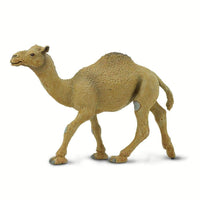 Dromedary Camel Toy