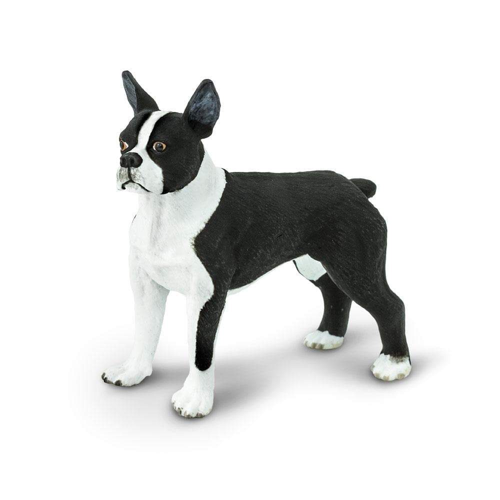 Boston Terrier Figurine Safari Ltd Safari Ltd