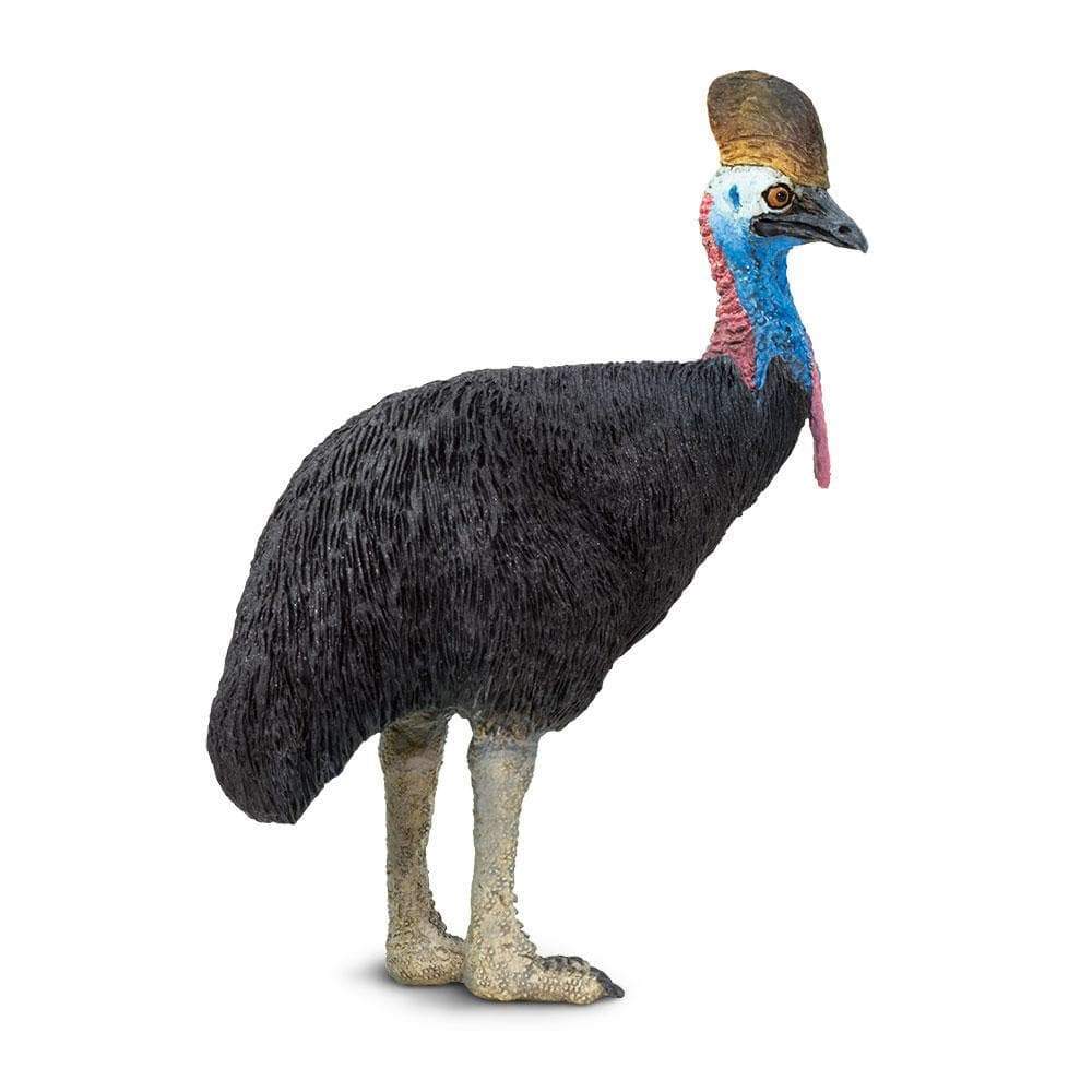 Cassowary Toy | Wildlife Animal Toys | Safari Ltd.