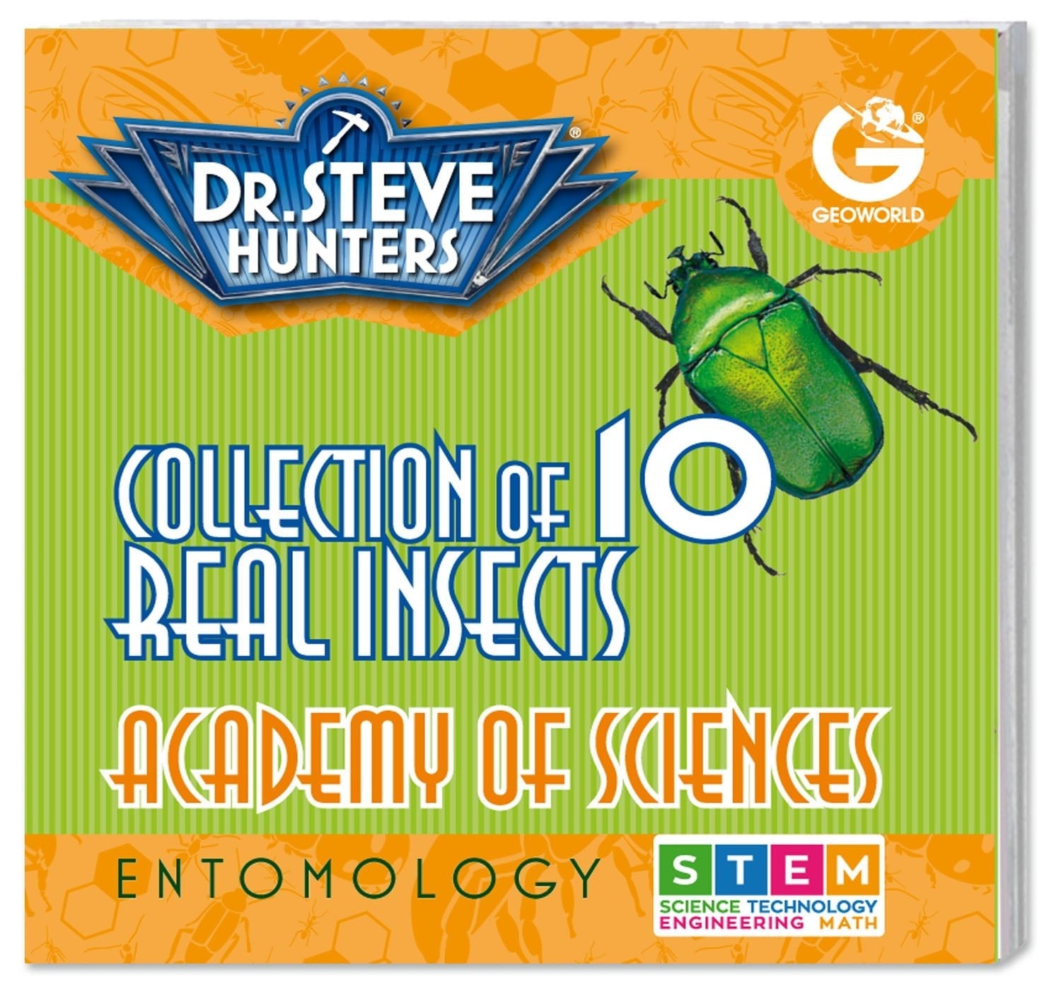 Dr. Steve Hunters Bug World Collection - 10 Real Insects Science & Education Toy Set - Safari Ltd®