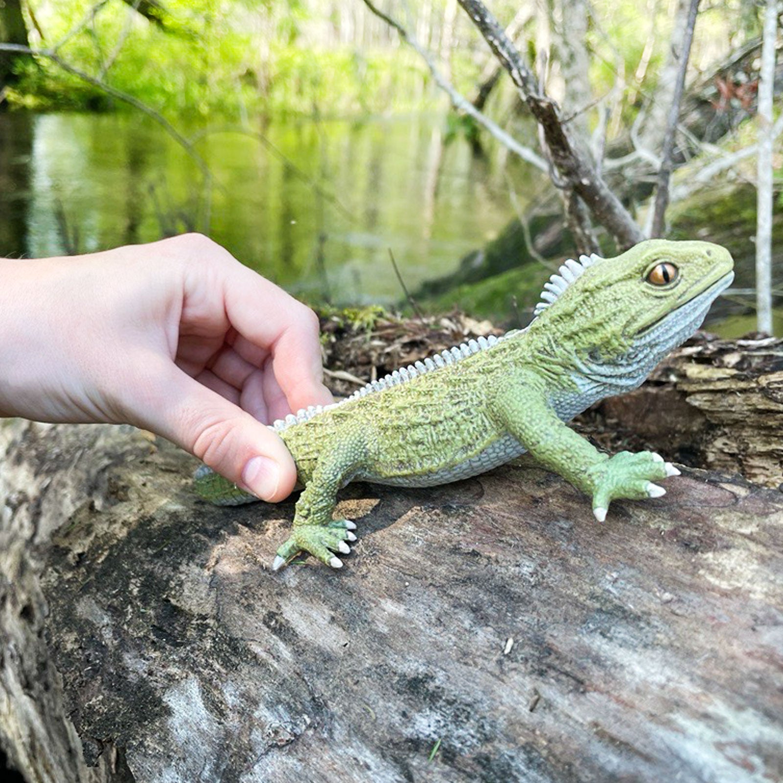 Tuatara Toy Figure | Incredible Creatures | Safari Ltd®