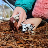 Watusi Bull Toy