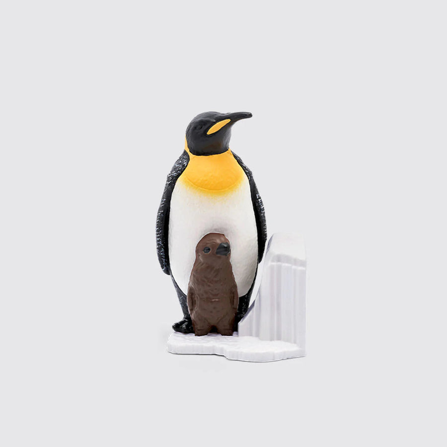 NATIONAL GEOGRAPHIC - PENGUIN Tonies Audio Play Character |  | Safari Ltd®