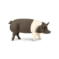 Hampshire Pig - Safari Ltd®