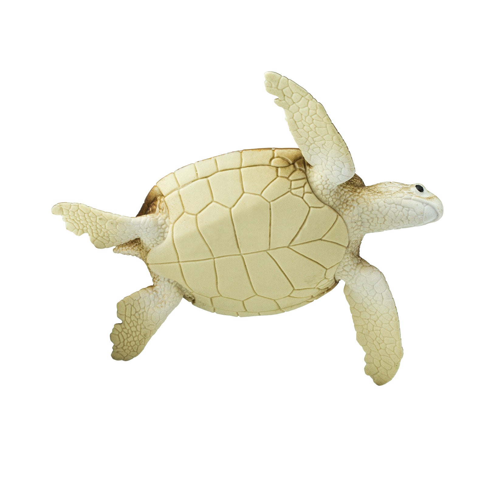 Green Sea Turtle Toy