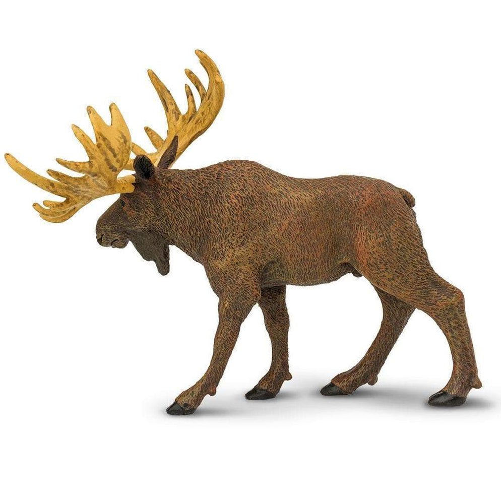 Moose Toy | Wildlife Animal Toys | Safari Ltd®