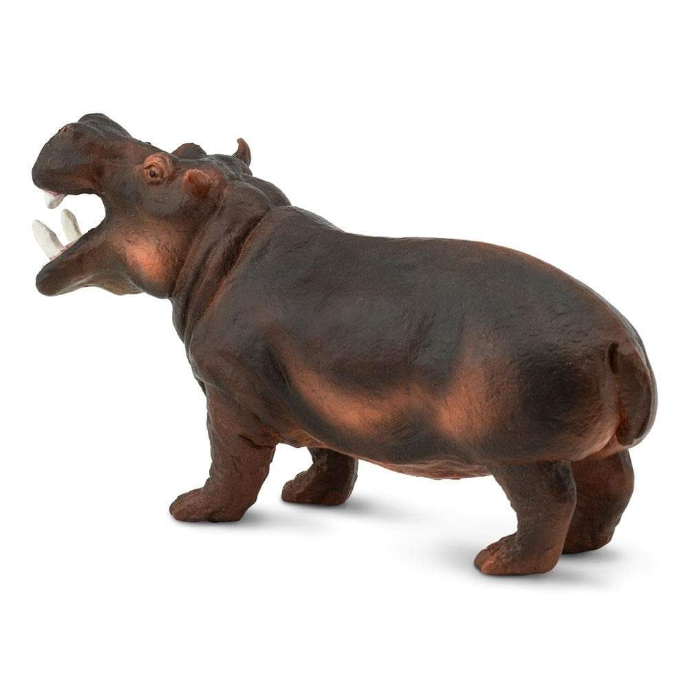 Hippopotamus Toy