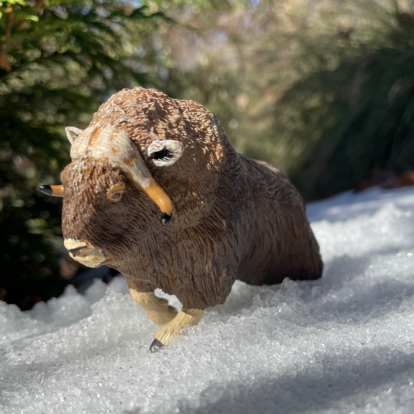 Muskox Toy