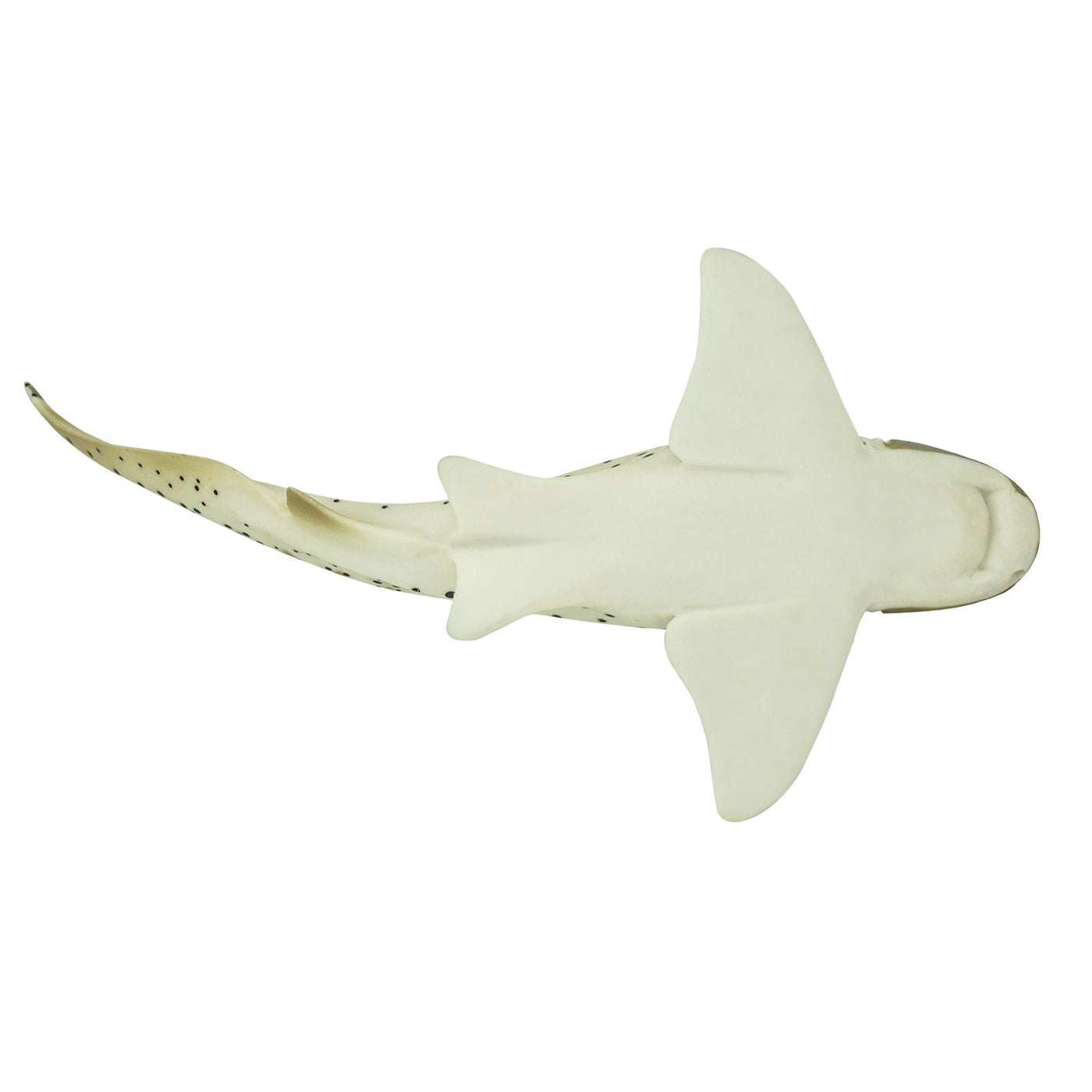 Zebra Shark Toy