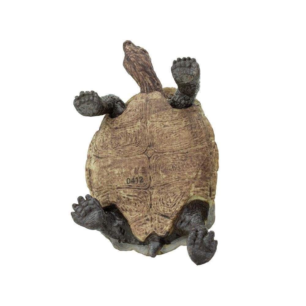 Desert Tortoise Toy