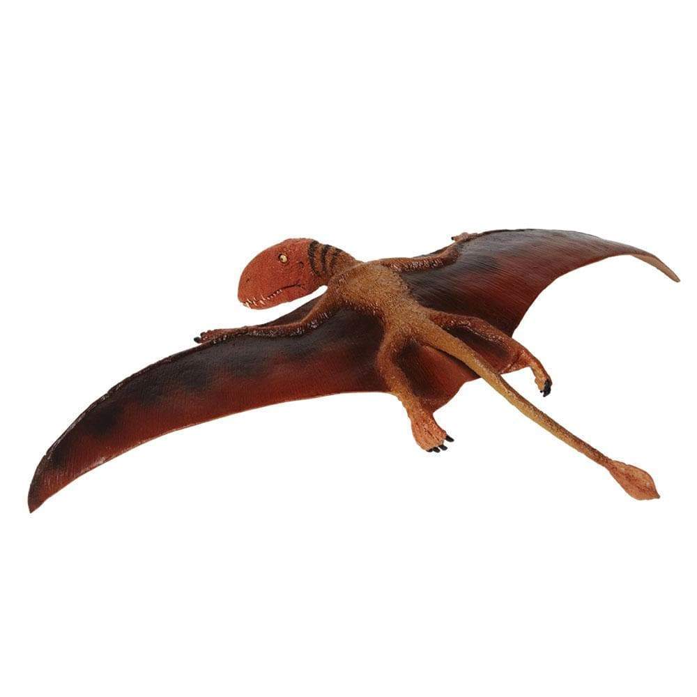 Dimorphodon Toy