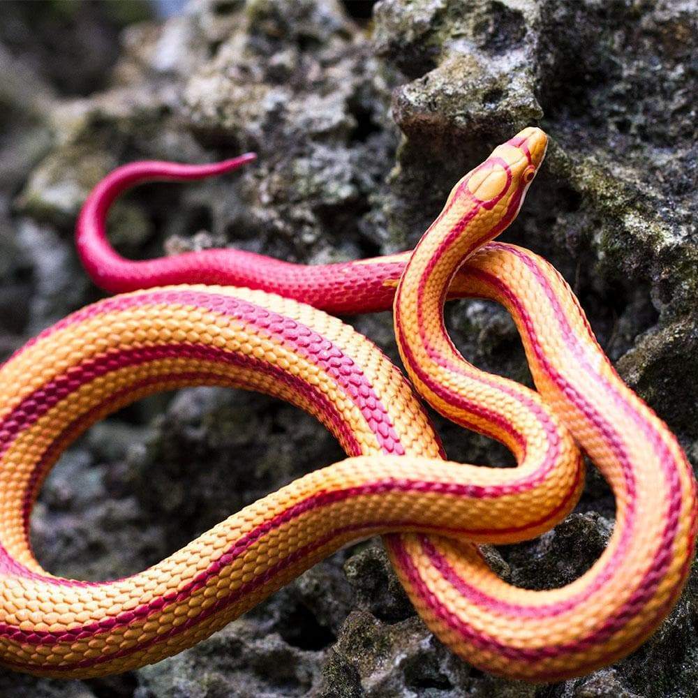 Corn Snake Toy