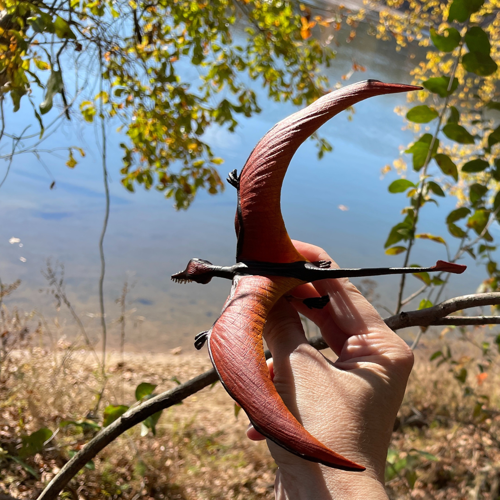 Rhamphorhynchus Toy