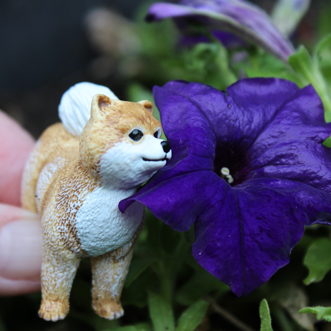 Pomeranian Toy Dog Figure |  | Safari Ltd®