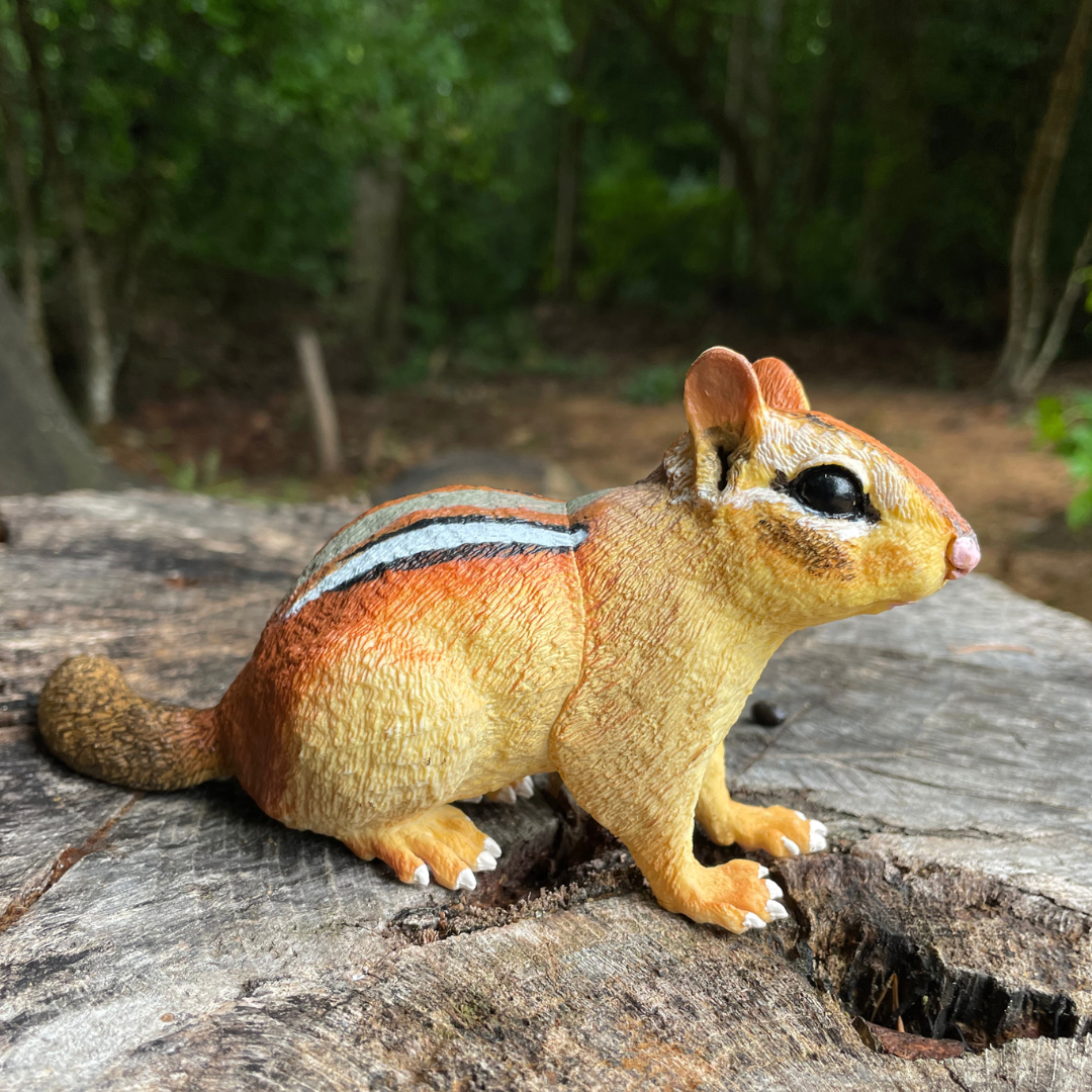 Eastern Chipmunk Toy | Incredible Creatures | Safari Ltd®