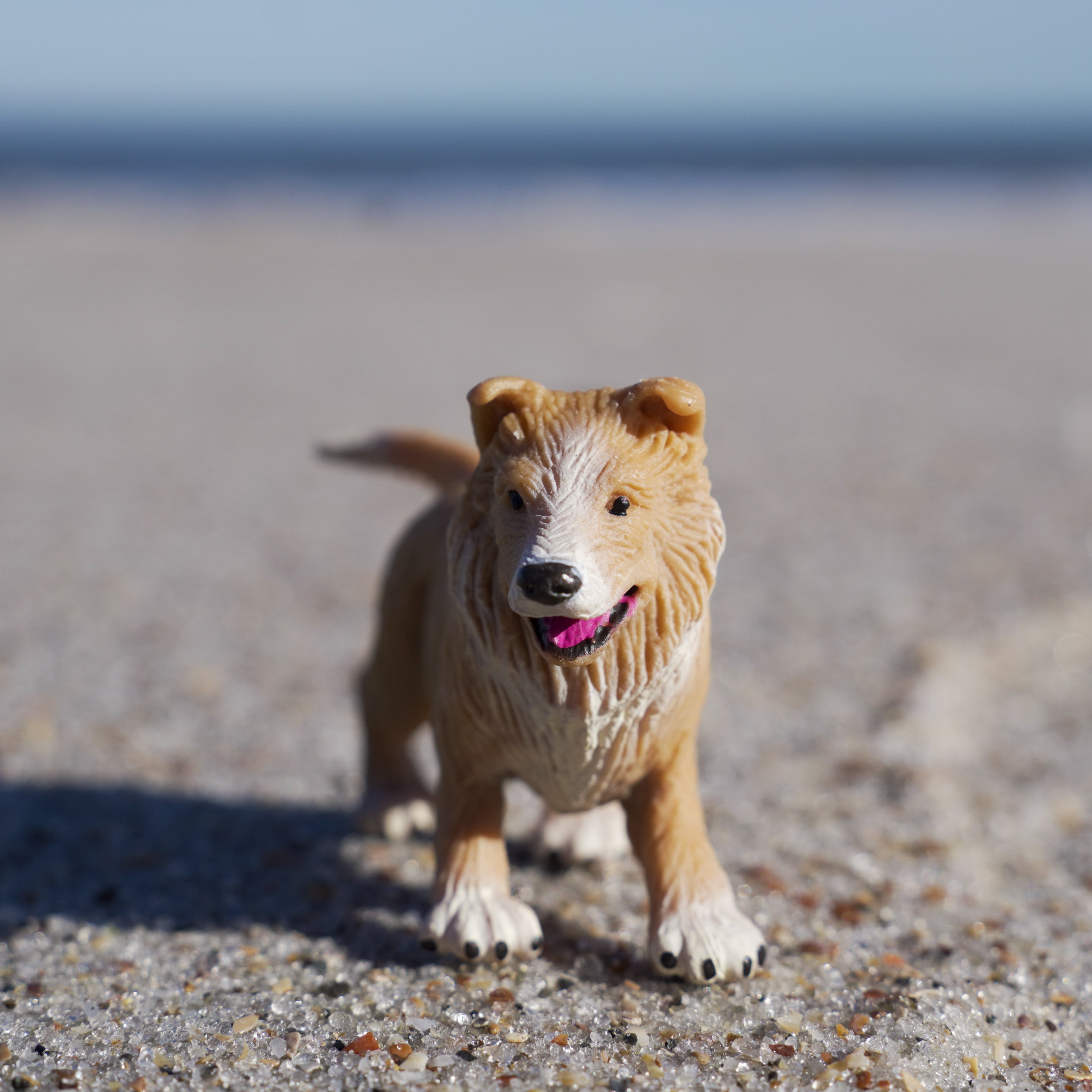 Collie Puppy Toy