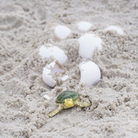 Green Sea Turtle Baby Toy