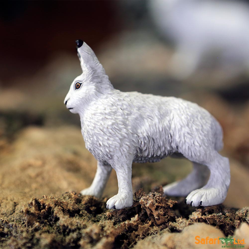 Arctic Hare Toy