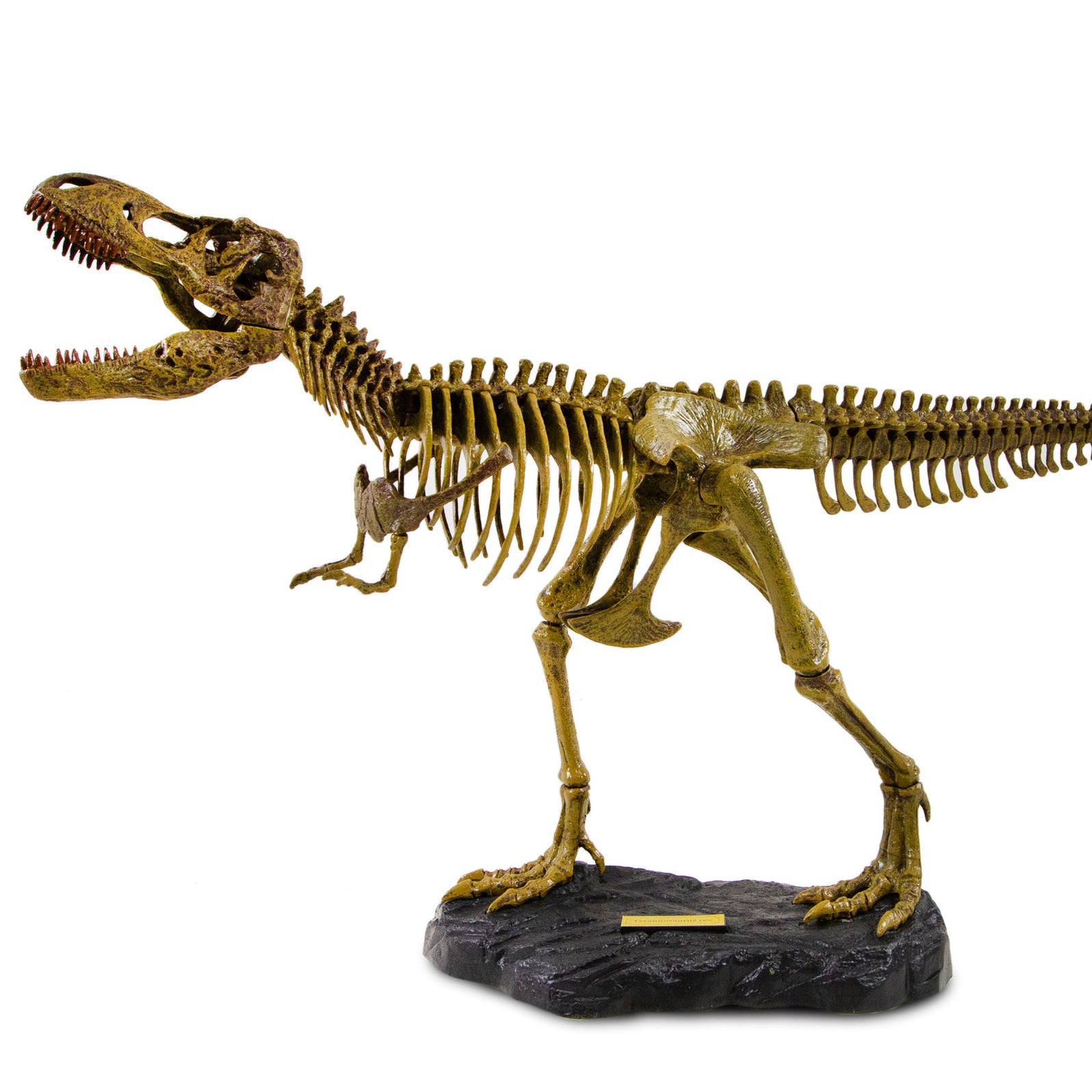 Dr. Steve Hunters GEOWorld Paleo Expedition Tyrannosaurus Rex Replica ...