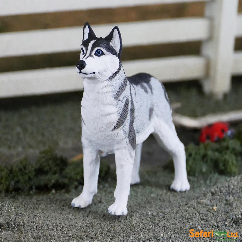 Siberian Husky Toy | Farm | Safari Ltd®