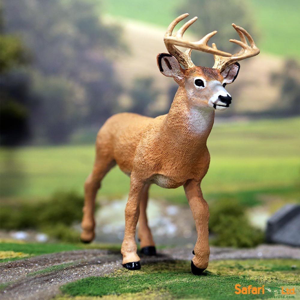 Whitetail Buck Toy