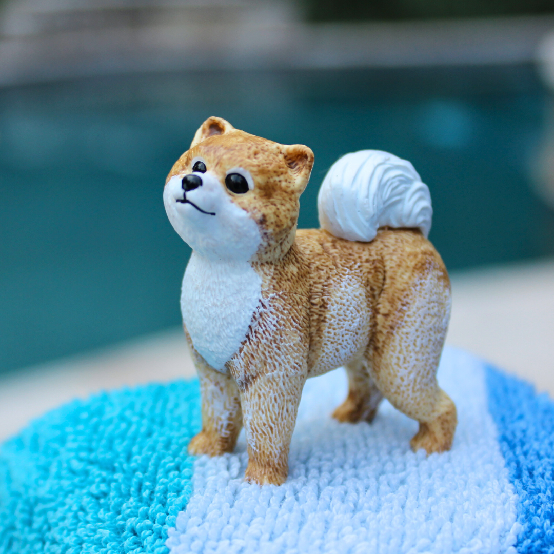 Pomeranian Toy Dog Figure |  | Safari Ltd®