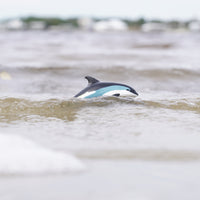 Atlantic White-Sided Dolphin Toy