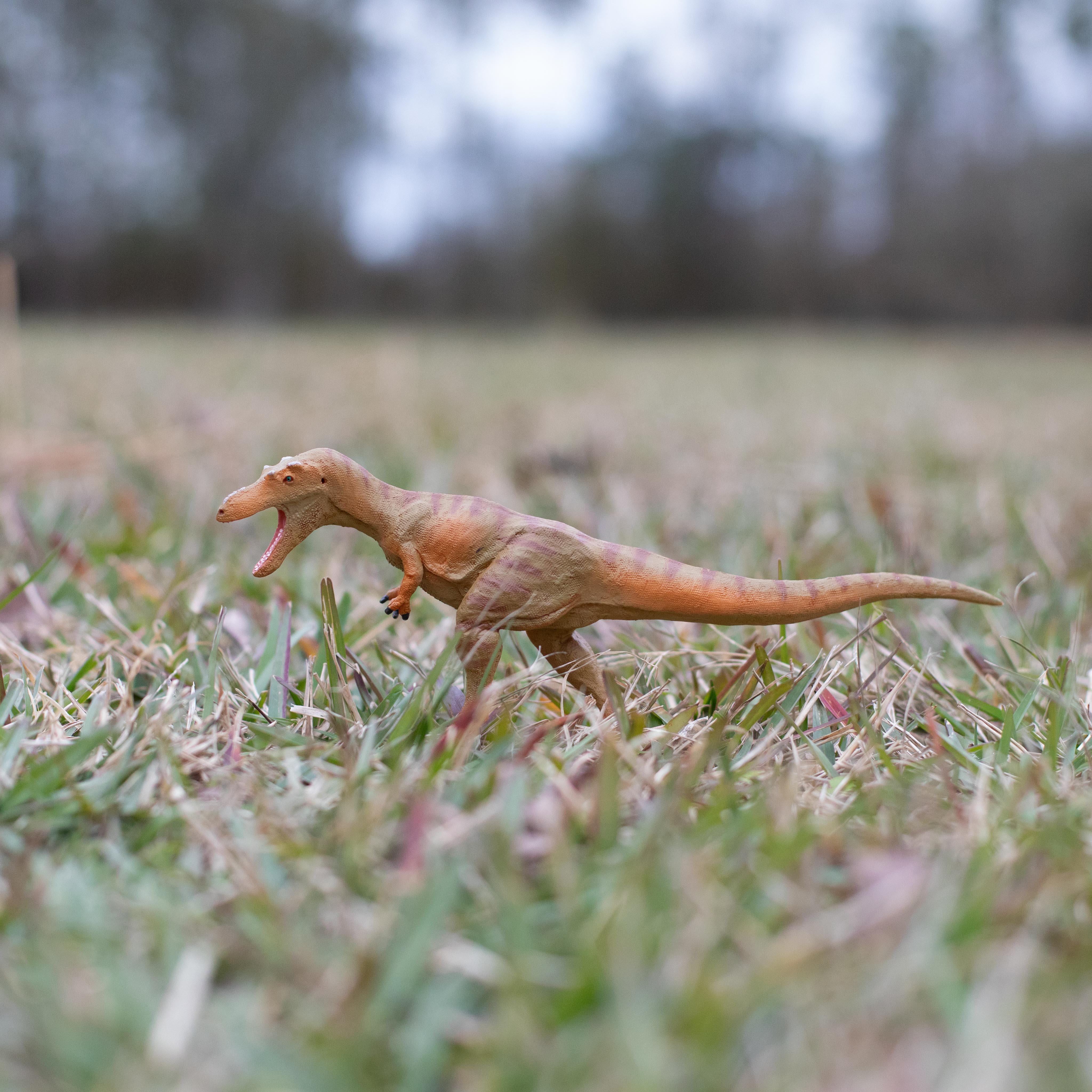 Qianzhousaurus Toy | Dinosaur Toys | Safari Ltd®