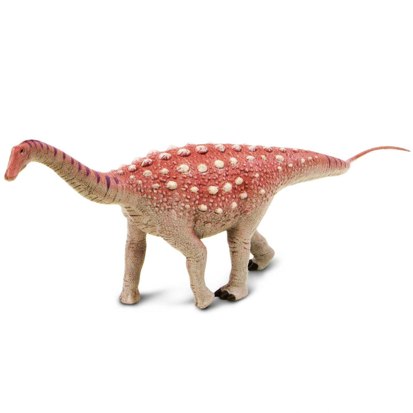 Saltasaurus Dinosaur Toy Figure |  | Safari Ltd®