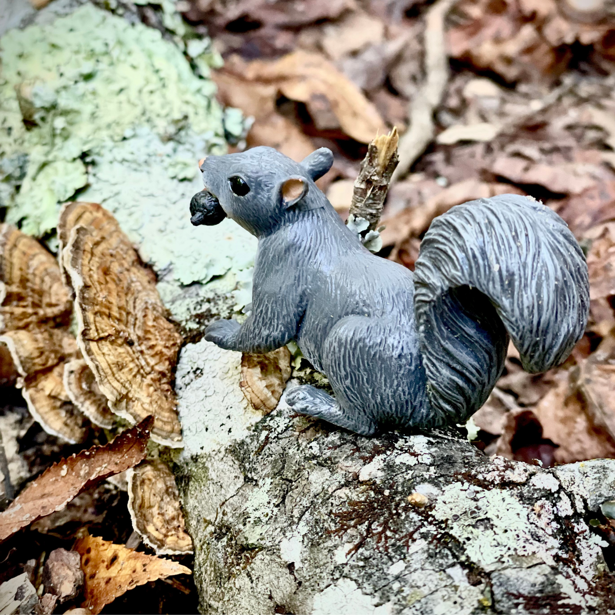 Gray Squirrel Toy