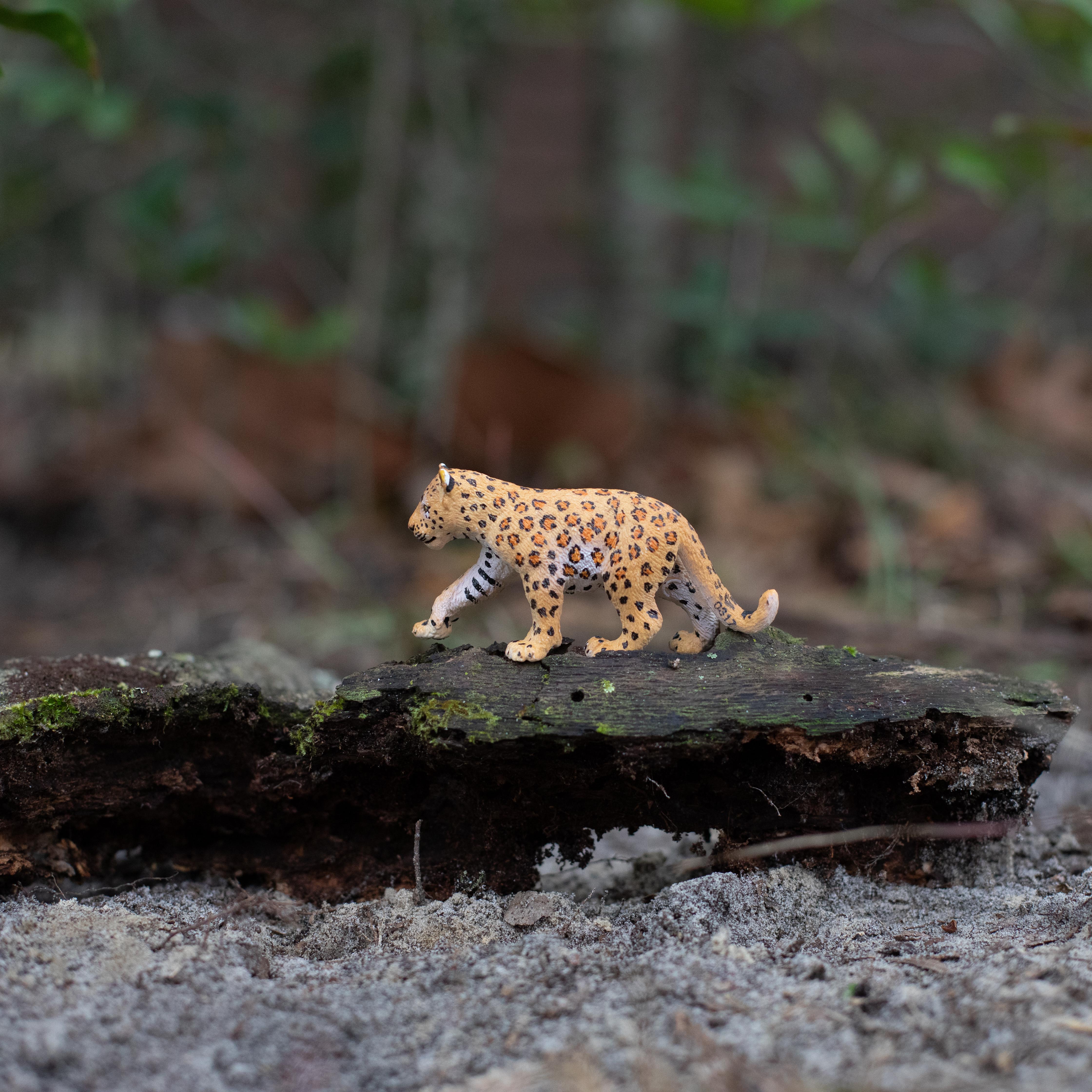 Leopard Cub Toy | Wildlife Animal Toys | Safari Ltd®