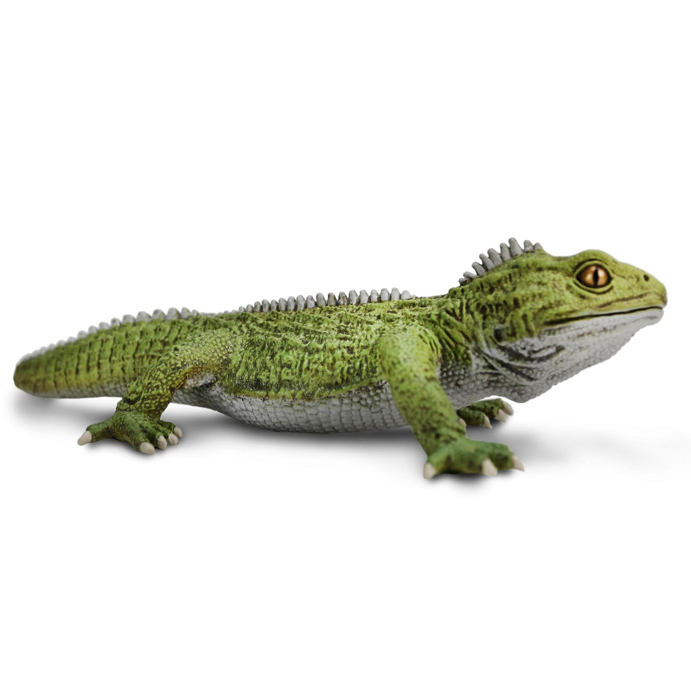 Tuatara Toy Figure | Incredible Creatures | Safari Ltd®