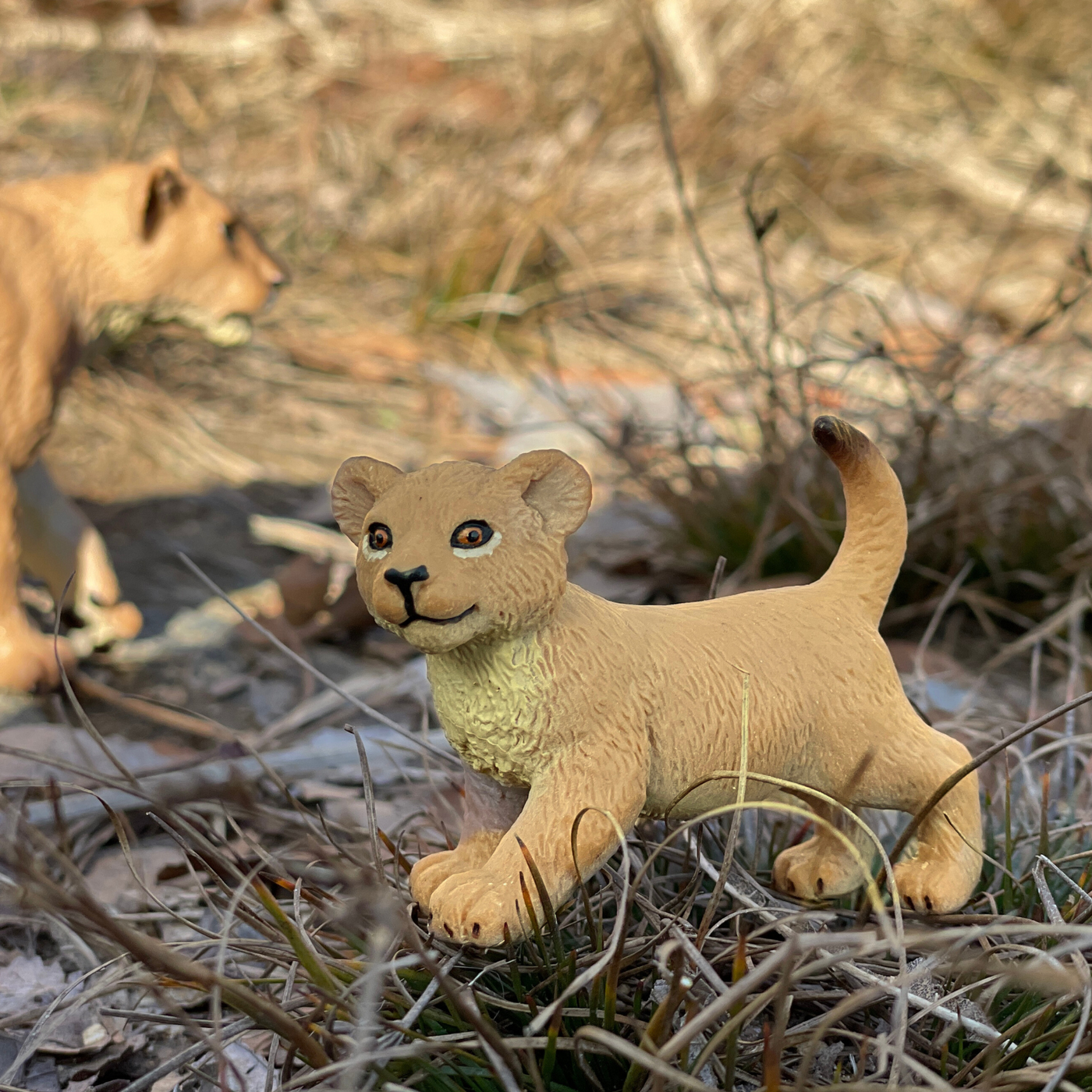 Lion Cub Toy