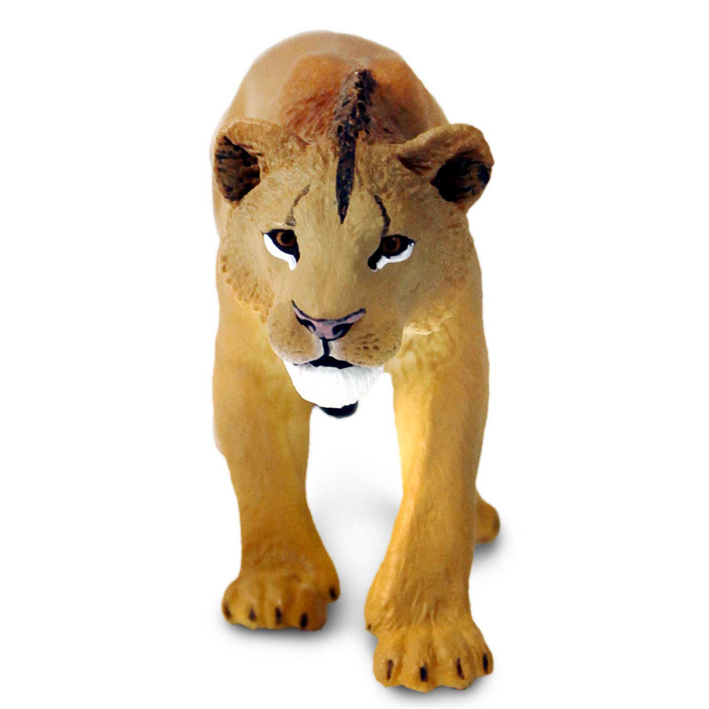 Adolescent Male Lion Toy Figure |  | Safari Ltd®