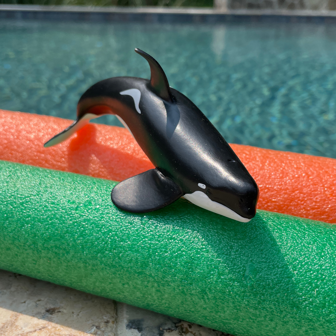 Type D Orca Toy Figure | Wild Safari Sea Life | Safari Ltd®